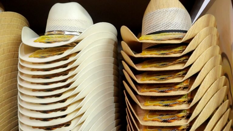 Se retrasa en la Cámara el ‘Día Nacional del Sombrero’