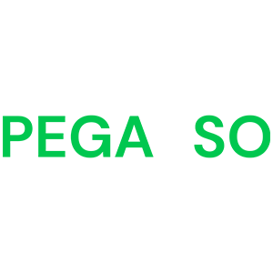 logo pegasso