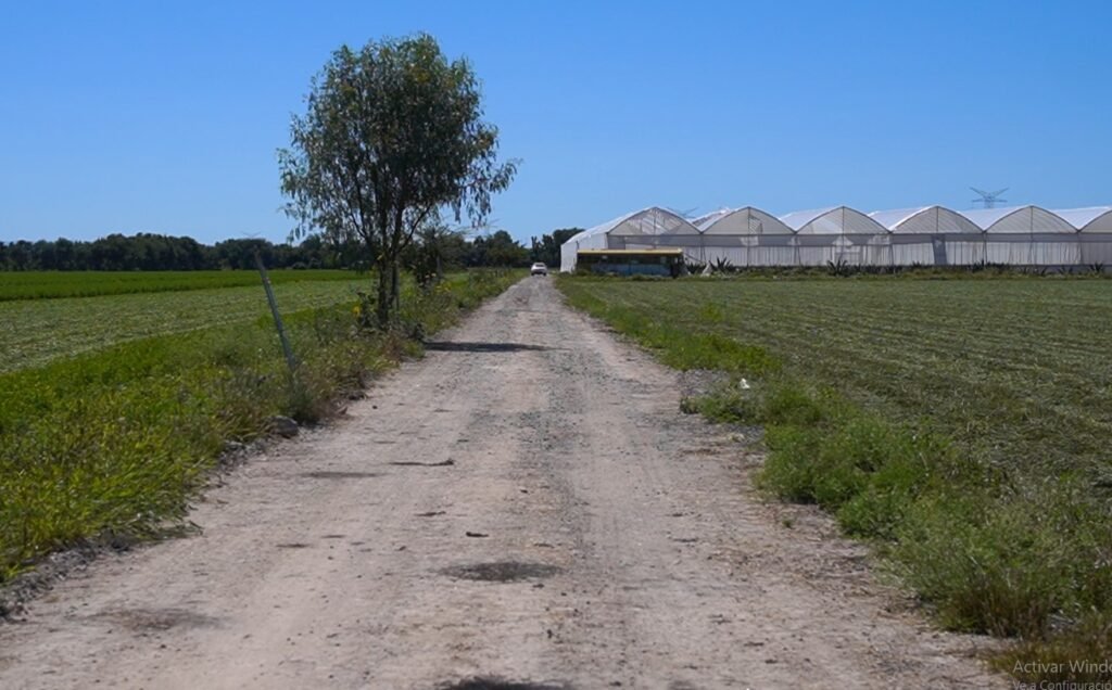 Agricultores llevarán posibles afectaciones por el Tren Interurbano al Gobierno Federal